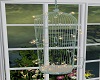 Green Apt Bird Cage