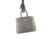Il Birkin Lizard Bag
