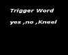 trigger word sign kneel