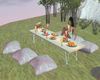 Pic nic table