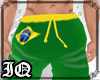 Brazil Swim Trunk