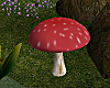 A magical Place Mushroom