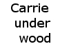 carrie underwood