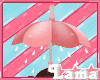 ℒ| Shower Umbrella