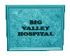 BV Hospital Sign in Teal