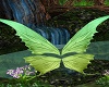 Magical Fairy Anim Wings