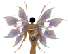Woman's Fairy Dust Wings