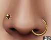 wz Nose Piercings Gold