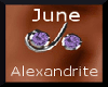 June Helix Earrings