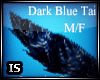 (IS)A Dark Blue Tail M/F