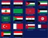 Arabic Flags