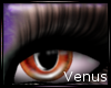 [₭]Venus Unisex Eyes