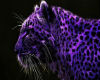 Aqua Purple Cheetah Bed
