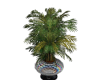 Holographic Vibez Palm
