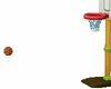 kids basketball