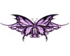 purple buterfly