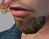 [G] Beards II