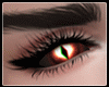 IGI  Eyes F v.6