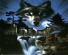 Night Wolves Picture