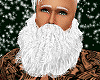 Santa Beard Bushy