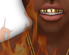 Gold grill top