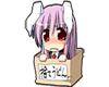 Cute Bunny in a box
