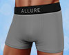 Allure Boxer-Briefs Gry