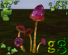 *G Animated Mushrooms