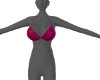 pink cheetah bra