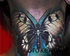 BD* Butterfly Love