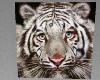 MJs white tiger V