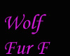 Grey/PUrple Wolf Fur  F