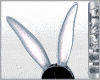 BBR TourmalinRabbit Ears