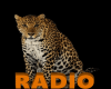 GR :RADIO