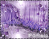 Lace Affair PhotoRoom