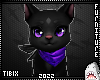 Luna Cat Purple