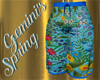 Gemini Spring-Shorts