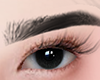 Eyebrows black FV