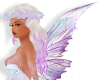  𝓎. fairy wings