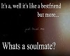 what is a soul mate