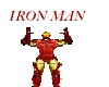 Iron Man~Full Costume