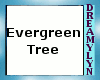 !D Evergreen Tree