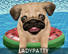 Pug On Pool Floatie