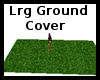 ! Lrg Ground Cover Grass