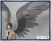 Supernatural Wings [V2]