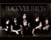 BVB Music Voices