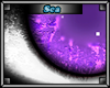 Sadi~Sca Eyes M/F Purple
