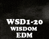 EDM- WISDOM