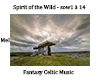 Spirit of  Wild Celtic