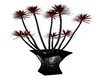 Black and Red Planter